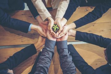 Business people hold a small plant, symbolising business school impact