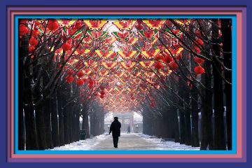 A man strolls down a tree-lined walkway decorated with butterflies and red lanterns in Beijing, China. To illustrate that Asian universities have stalled in their rise up the rankings.