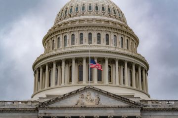 Capitol Building in Washington DC