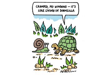 Cartoon for Week in HE for 5 January 2023