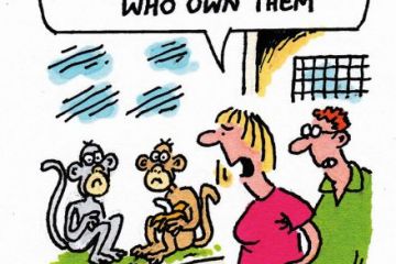 Cartoon 6 June 2019 Cartoon 6 June 2019