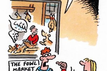 cartoon week in HE Week in HE cartoon