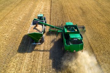 Aerial view of combine harvester unloading grain in cargo trailer working during harvesting season on large ripe wheat field in Argentina