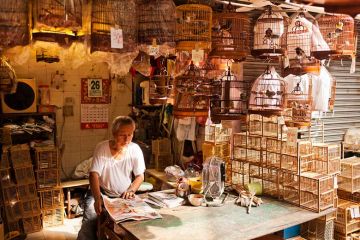 Chinese man in shop with cages Chinese man in shop with cages
