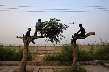 People climb trees to watch the take off of an airplane along a highway, outside Indira Gandhi International Airport in New Delhi, India. To illustrate that setting up a branch campus in India may be costly, limited in reach and difficult to scale.