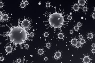 White coronaviruses that resemble snowflakes