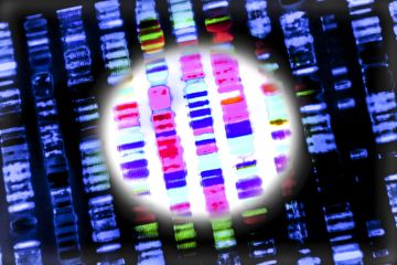 A DNA sequence