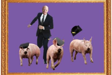 David Willetts chasing three graduating pigs David Willetts chasing three graduating pigs