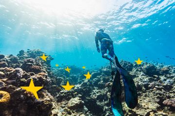 A diver in the Great Barrier Reef, Australia, with stars from the European Union flag on the seabed. To illustrate Australian universities renewing their campaign to join Horizon Europe.