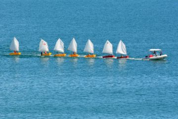 Doubtless Bay, New Zealand - February 15, 2014 Motor boat with sailing instructor drags a line of small sailing boats on Feb 15, 2014. New Zealand is one of the top sailing nation in the world. Doubtless Bay, New Zealand - February 15, 2014 Motor boat with sailing instructor drags a line of small sailing boats on Feb 15, 2014. New Zealand is one of the top sailing nation in the world.