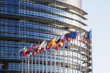 EU flags in front of EU parliament EU flags in front of EU parliament