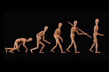 Evolution of humans (wood figurines)