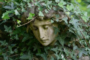 Female statue overgrown with ivy. To illustrate ‘subtle but persistent’ power abuse in academia.