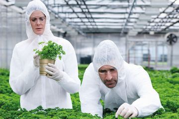Scientists in green house