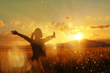 A woman in a wheatfield at sundown A woman in a wheatfield at sundown