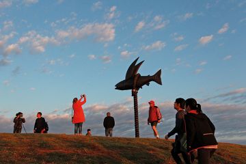 Flying Fish by Gillie and Marc Schattner is displayed at Bondi in Sydney, Australia. Flying Fish by Gillie and Marc Schattner is displayed at Bondi in Sydney, Australia to illustrate Without expensive reforms to steward, what will Atec do?