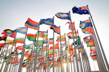 International flags flying