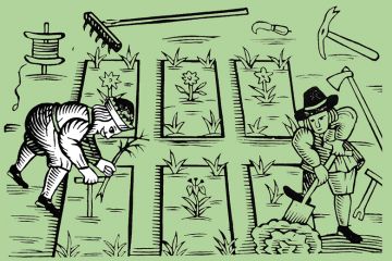 A historic picture of two gardeners A historic picture of two gardeners