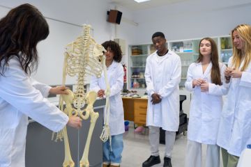 Medical students studying human skeleton in laboratory Medical students studying human skeleton in laboratory