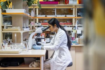 Women are entering higher education at increasing rate in India Women are entering higher education at increasing rate in India
