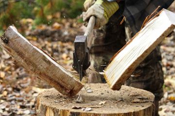 splitting campfire wood splitting campfire wood