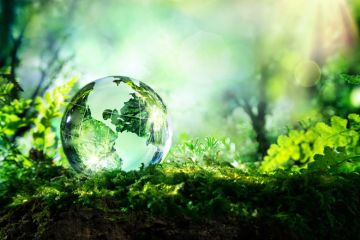 Glass globe lying on forest floor Glass globe lying on forest floor