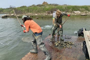 Students on Gull Island, off the Massachusetts coast Students on Gull Island, off the Massachusetts coast