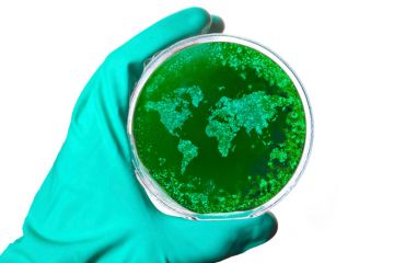 Hand holding petri dish with world map-shaped bacteria