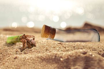 A hermit crab unable to move in to a stoppered scientific flask. To illustrate that despite merit many early-career researchers are unable to grow within their careers.