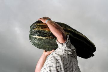 man-marrow man-marrow