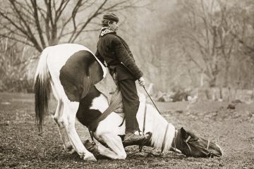 Man tries to control obstinate horse