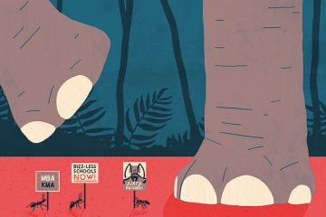 Illustration by Michael Parkin (21 June 2018) Illustration by Michael Parkin (21 June 2018)