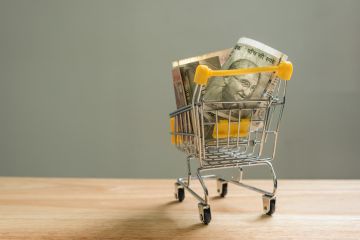 Indian banknotes in a small shopping trolley