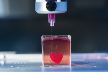 Presentation of a 3D live heart printed from human tissue at Tel Aviv University Presentation of a 3D live heart printed from human tissue at Tel Aviv University