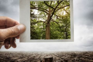 Environmental destruction concept Environmental destruction concept illustrating book review of ‘Affluence and Freedom: An Environmental History of Political Ideas’ by Pierre Charbonnier, Polity Press