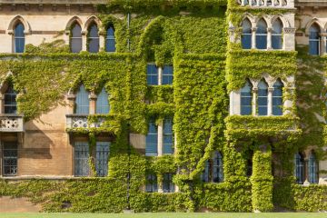 Chris Church Chris Church