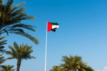 UAE flag in the wind