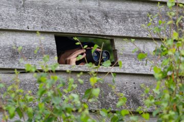 Bird watching from a wooden bird hide at sunset
