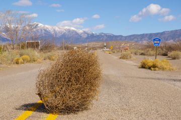 Tumbleweed blows across a desert highway Tumbleweed blows across a desert highway