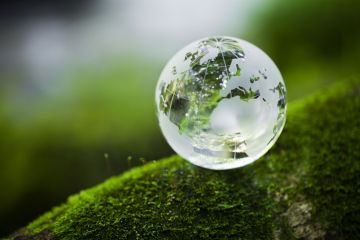 Glass globe Glass globe