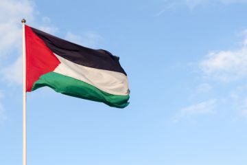 Palestine flag