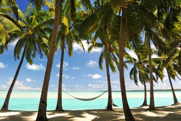 Jamaica, where one of the University of the West Indies four campuses is located