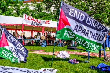 Pro-Palestine flags at a demonstration Pro-Palestine flags at a demonstration
