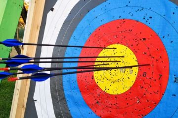 Close-Up Of A Target With Arrows Shot Into It