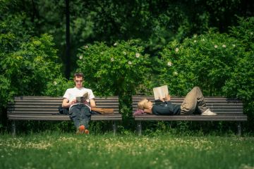 Couple sitting and reading a book on a bench in a public park in summer