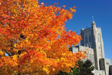 Princeton University