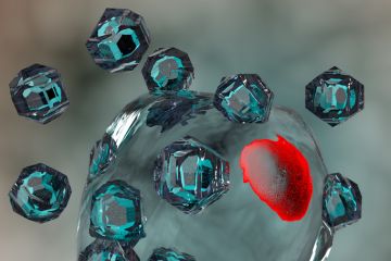 Quantum dots Quantum dots