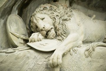 Dying lion Dying lion