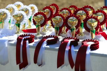 Close-up of golden trophy and ribbons for equestrian winners