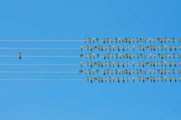 Top universities for best student to staff ratio Top universities for best student to staff ratio